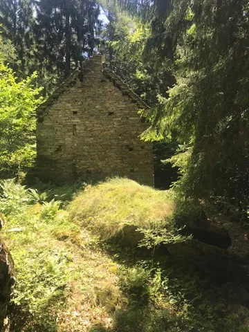 Rustico/Casale in vendita a Varzo - foto 3