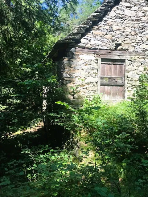 Rustico/Casale in vendita a Varzo - foto 5