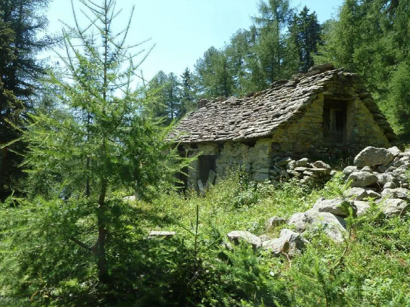 Rustico/Casale in vendita a Varzo - foto 4