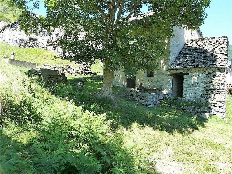 Rustico/Casale in vendita a Masera - foto 1