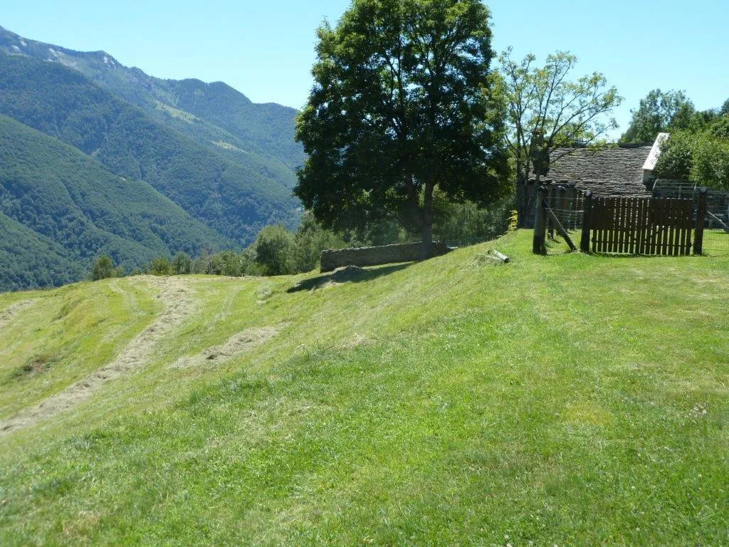 Rustico/Casale in vendita a Masera - foto 3