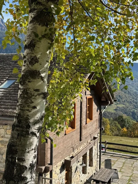 Rustico/Casale in vendita a Trasquera - foto 2