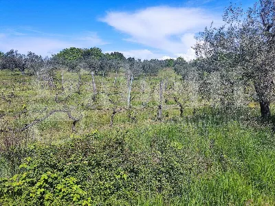 Rustico/Casale a Massa Marittima