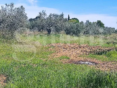 Rustico/Casale in vendita a Massa Marittim... - foto 10