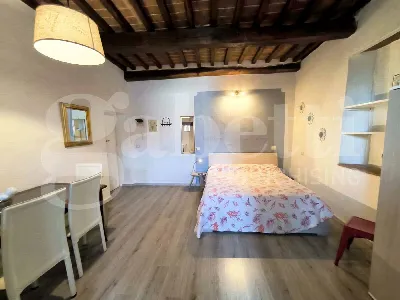 Appartamento in vendita a Massa Marittima - foto 4