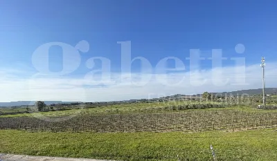 Appartamento in vendita a Scarlino - foto 8
