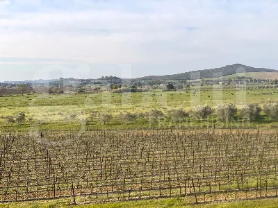 Appartamento in vendita a Scarlino - foto 9