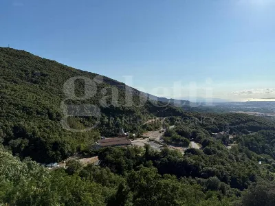 Appartamento in vendita a Gavorrano - foto 4