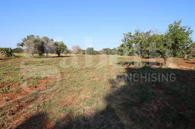 Villetta a schiera in vendita a Manduria - foto 3