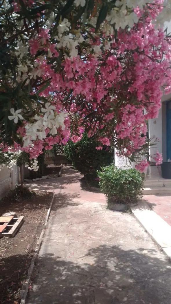 Casa Indipendente in vendita a Manduria - foto 6