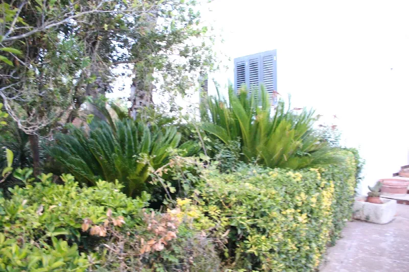 Casa Indipendente in vendita a Manduria - foto 5