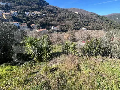 Casa Indipendente in vendita a Montaquila - foto 7