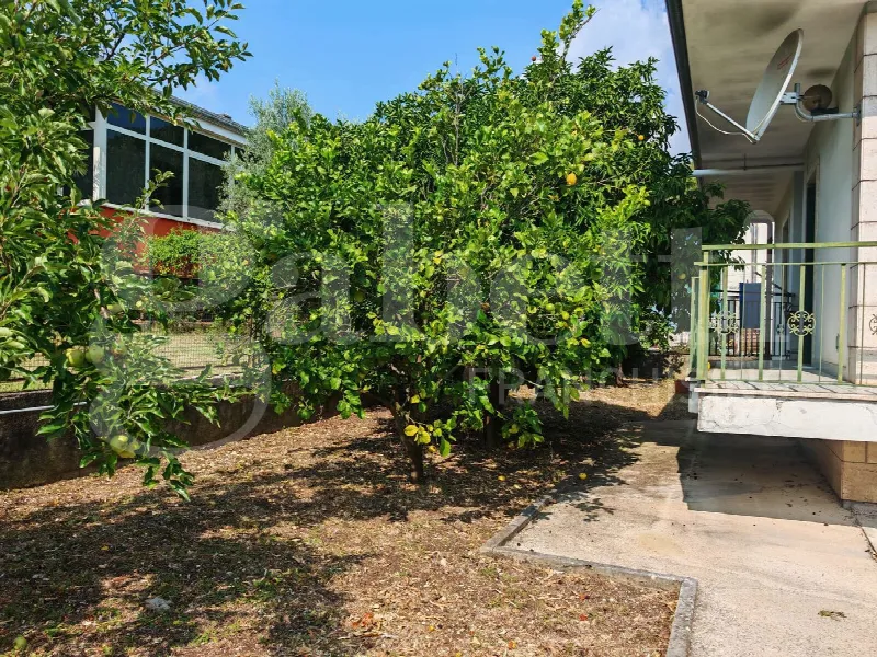 Casa Indipendente in vendita a Pozzilli - foto 10
