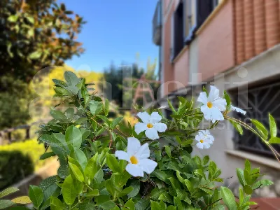 Villa in vendita a Salerno, Casa manzo, gi... - foto 5