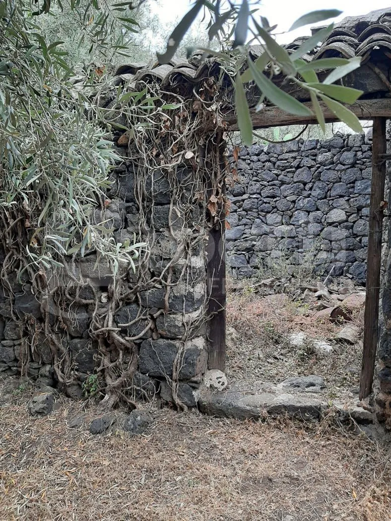 Casa Indipendente in vendita a Belpasso - foto 4
