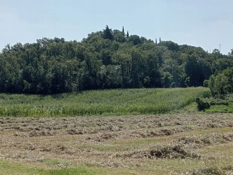 Rustico/Casale in vendita a Monzambano - foto 8