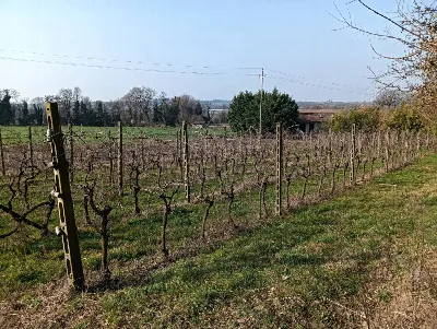 Rustico/Casale in vendita a Valeggio sul M... - foto 8
