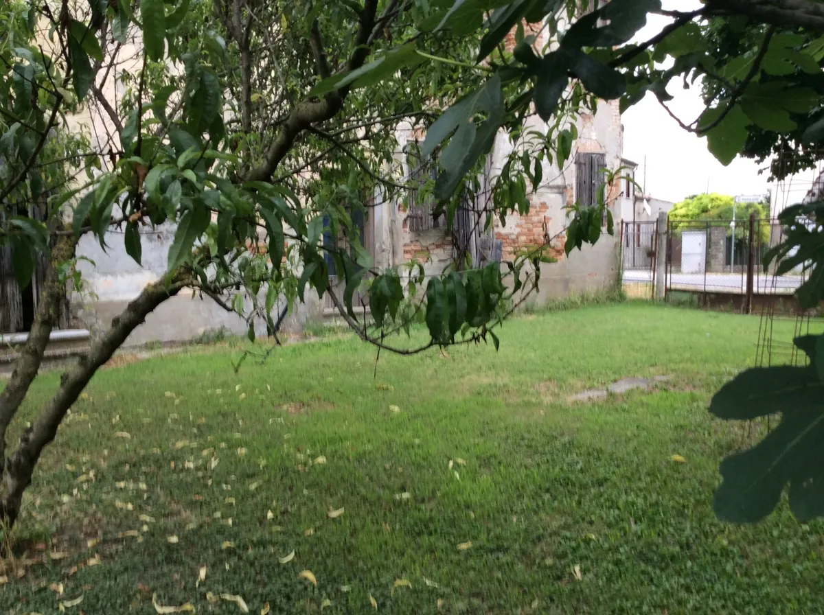 Rustico/Casale in vendita a Gavello - foto 2