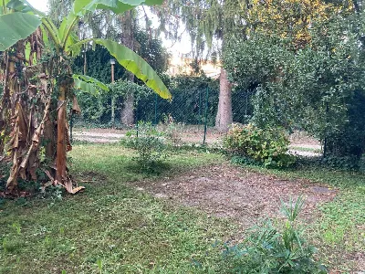 Casa Indipendente in vendita a Crespino - foto 4