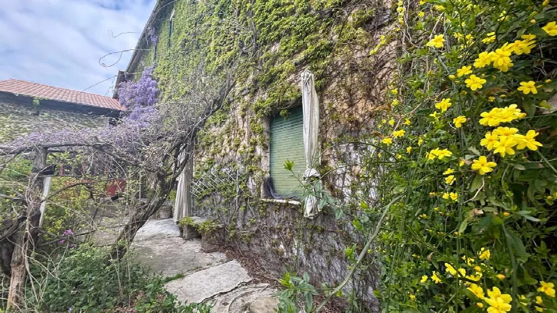 Rustico/Casale in vendita a Pietra de' Giorgi - foto 10