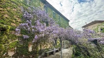 Rustico/Casale in vendita a Pietra de' Gio... - foto 3