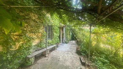 Rustico/Casale in vendita a Pietra de' Gio... - foto 9