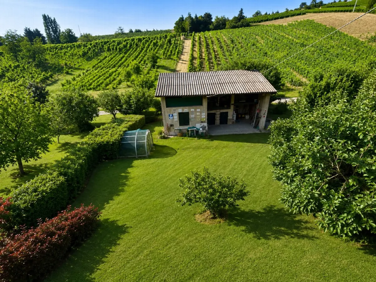 Villa in vendita a Montescano - foto 3