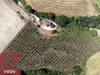 Rustico/Casale in vendita a Todi - foto 8