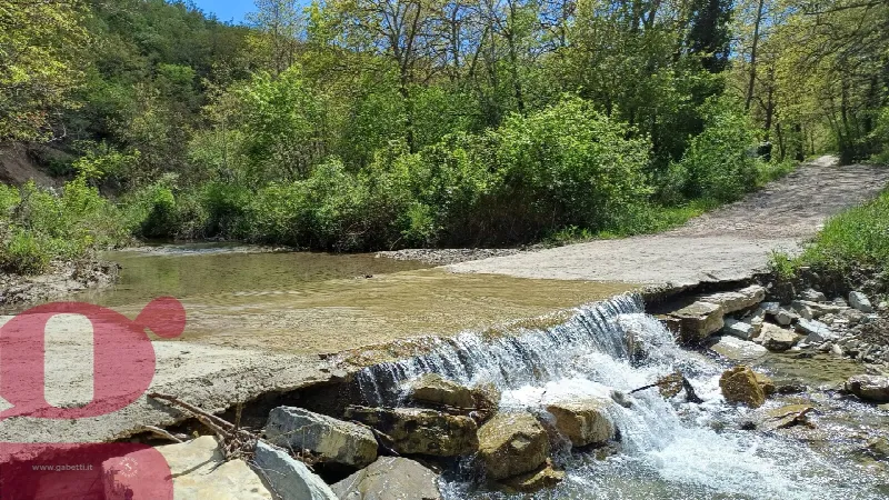 Rustico/Casale in vendita a San Venanzo - foto 1