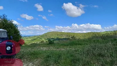 Rustico/Casale in vendita a San Venanzo - foto 10