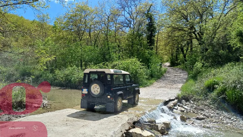 Rustico/Casale in vendita a San Venanzo - foto 2