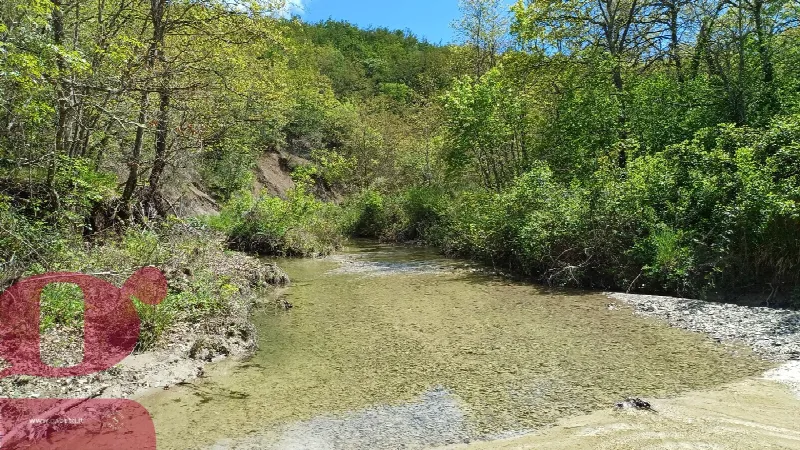 Rustico/Casale in vendita a San Venanzo - foto 3