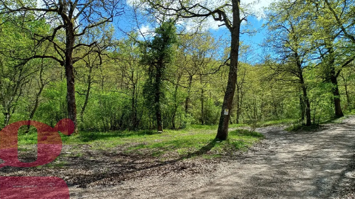 Rustico/Casale in vendita a San Venanzo - foto 4