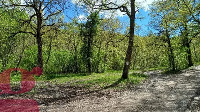 Rustico/Casale in vendita a San Venanzo - foto 4