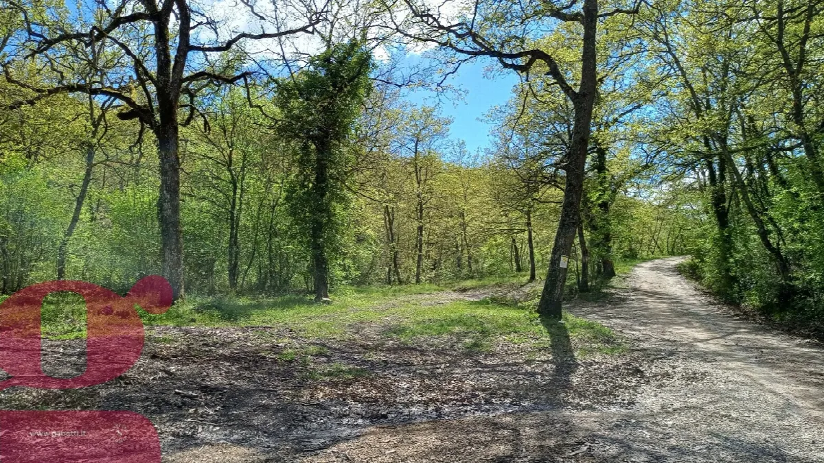 Rustico/Casale in vendita a San Venanzo - foto 5