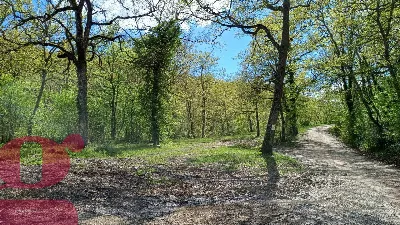 Rustico/Casale in vendita a San Venanzo - foto 5