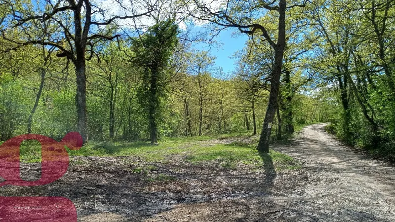 Rustico/Casale in vendita a San Venanzo - foto 5