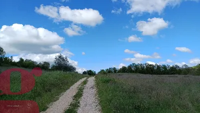 Rustico/Casale in vendita a San Venanzo - foto 6