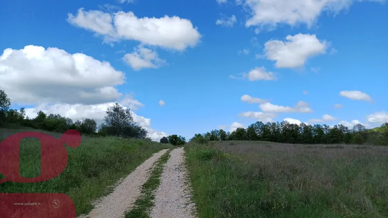 Rustico/Casale in vendita a San Venanzo - foto 6