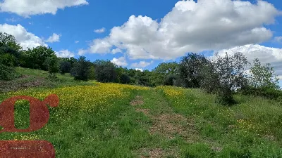 Rustico/Casale in vendita a San Venanzo - foto 7