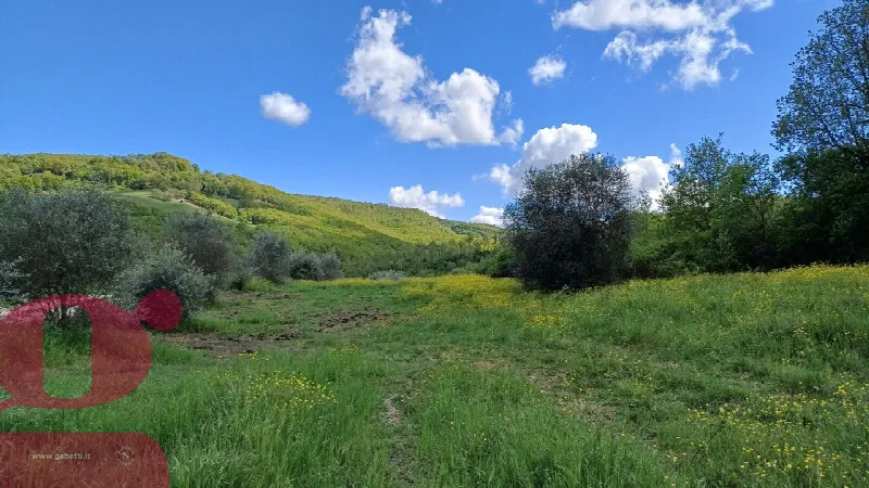 Rustico/Casale in vendita a San Venanzo - foto 8