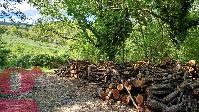 Rustico/Casale in vendita a San Venanzo - foto 9