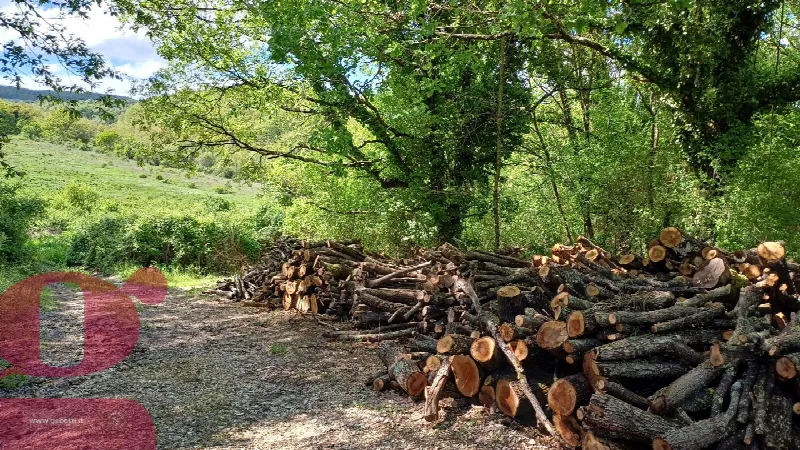 Rustico/Casale in vendita a San Venanzo - foto 9