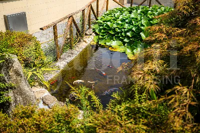 Villa in vendita a Trezzano sul Naviglio - foto 3