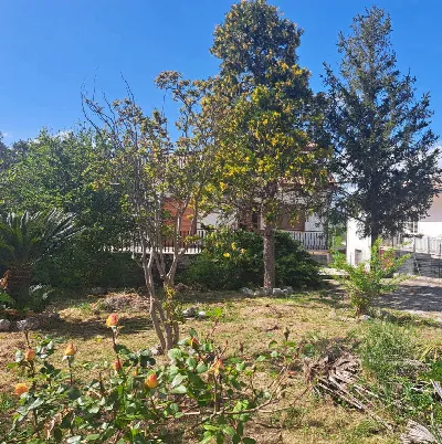 Casa Indipendente in vendita a Cervaro - foto 7