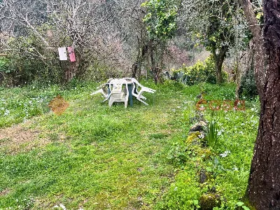 Casa Indipendente in vendita a Sant'Elia F... - foto 8