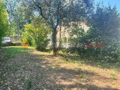 Casa Indipendente in vendita a Sant'Apolli... - foto 7