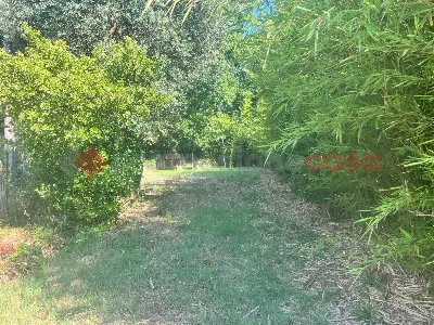 Casa Indipendente in vendita a Sant'Apolli... - foto 8