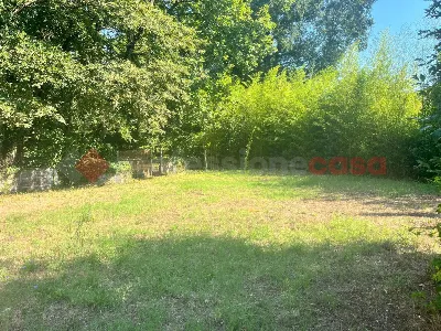 Casa Indipendente in vendita a Sant'Apolli... - foto 9