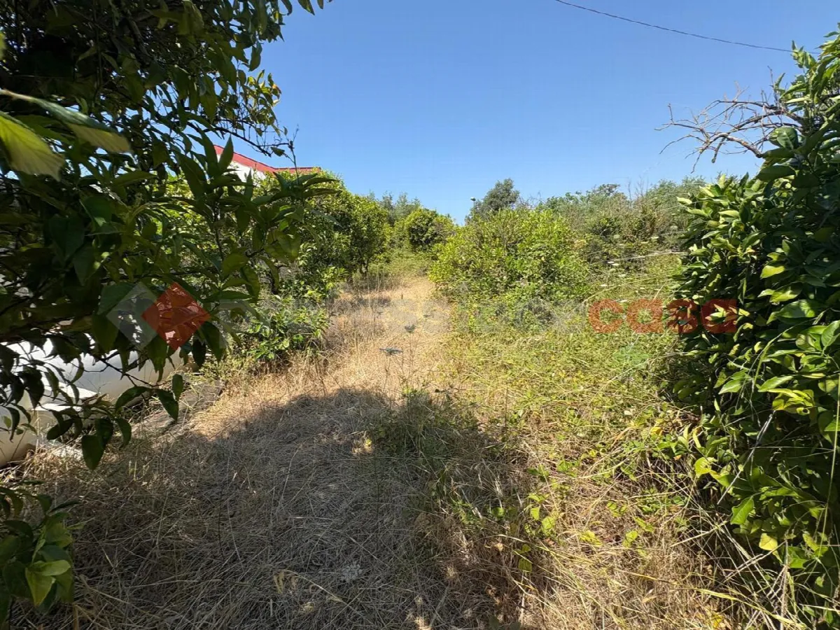 Villetta a schiera in vendita a Pulsano - foto 5